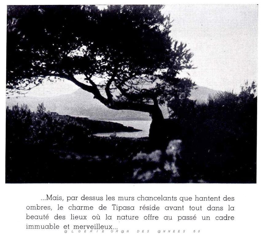 Villes Musees Algerie 099.jpg